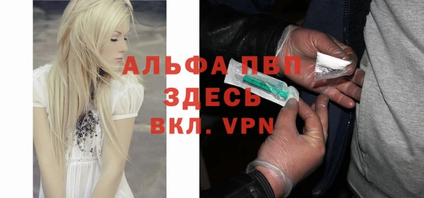 шишки Бородино