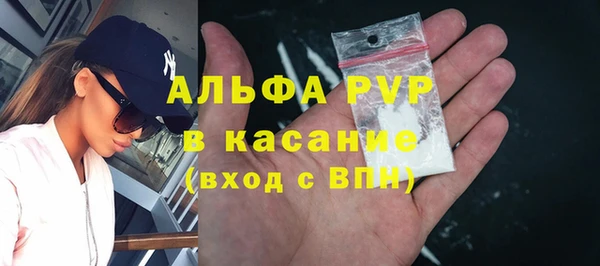 шишки Бородино