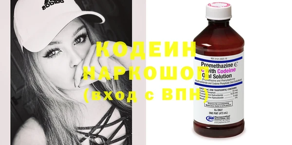 шишки Бородино