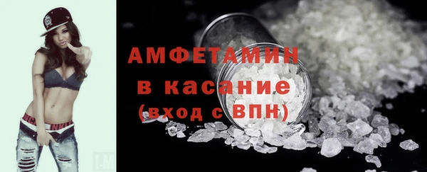 шишки Бородино