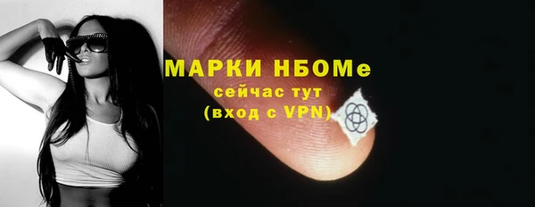 шишки Бородино