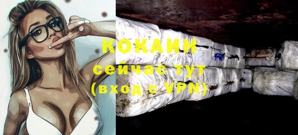 шишки Бородино