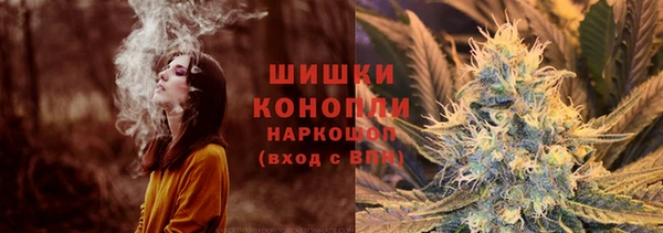 тгк Бронницы