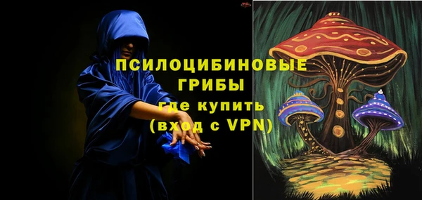 тгк Бронницы