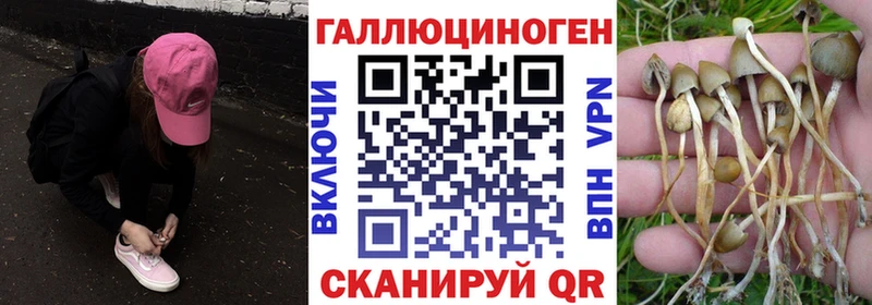 Галлюциногенные грибы мицелий  где найти   Верхний Тагил 